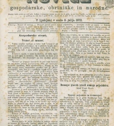 Kmetijske in rokodelske novize(1872) document 517485