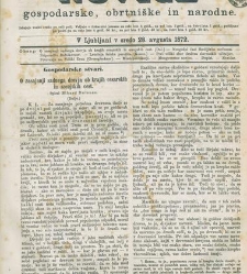 Kmetijske in rokodelske novize(1872) document 517549