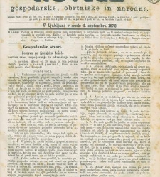 Kmetijske in rokodelske novize(1872) document 517557