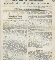 Kmetijske in rokodelske novize(1872) document 517565