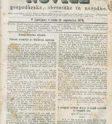 Kmetijske in rokodelske novize(1872) document 517573