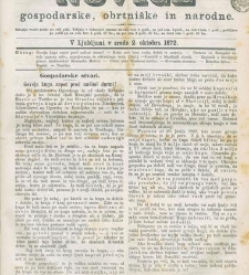 Kmetijske in rokodelske novize(1872) document 517589