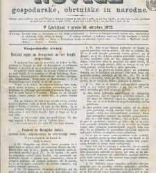 Kmetijske in rokodelske novize(1872) document 517607