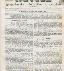 Kmetijske in rokodelske novize(1872) document 517615