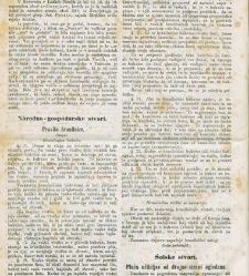 Kmetijske in rokodelske novize(1872) document 517640