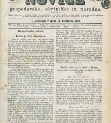 Kmetijske in rokodelske novize(1872) document 517679