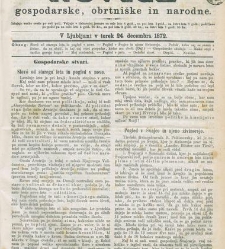 Kmetijske in rokodelske novize(1872) document 517689