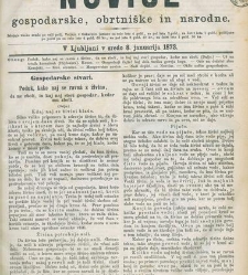 Kmetijske in rokodelske novize(1873) document 517697