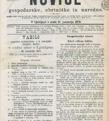 Kmetijske in rokodelske novize(1873) document 517705