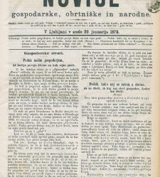 Kmetijske in rokodelske novize(1873) document 517713