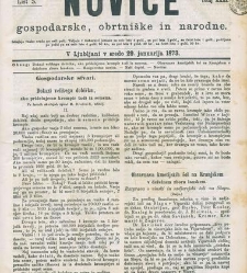 Kmetijske in rokodelske novize(1873) document 517721