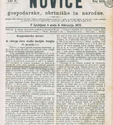 Kmetijske in rokodelske novize(1873) document 517729