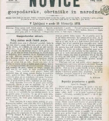 Kmetijske in rokodelske novize(1873) document 517745