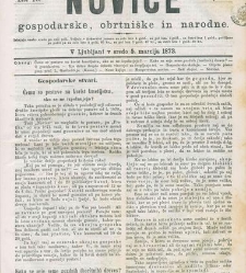 Kmetijske in rokodelske novize(1873) document 517761