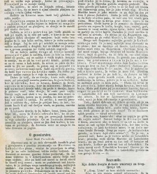 Kmetijske in rokodelske novize(1873) document 517762