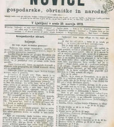 Kmetijske in rokodelske novize(1873) document 517777