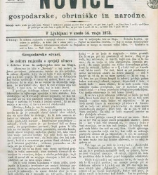 Kmetijske in rokodelske novize(1873) document 517841