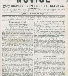 Kmetijske in rokodelske novize(1873) document 517857