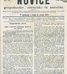 Kmetijske in rokodelske novize(1873) document 517873