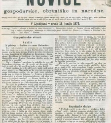 Kmetijske in rokodelske novize(1873) document 517881