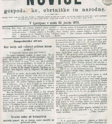 Kmetijske in rokodelske novize(1873) document 517889