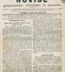 Kmetijske in rokodelske novize(1873) document 517933