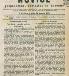 Kmetijske in rokodelske novize(1873) document 517959