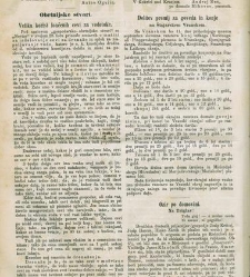 Kmetijske in rokodelske novize(1873) document 517968