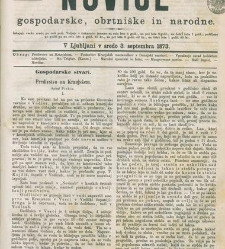 Kmetijske in rokodelske novize(1873) document 517975