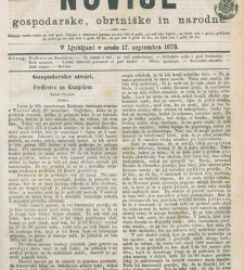 Kmetijske in rokodelske novize(1873) document 517991