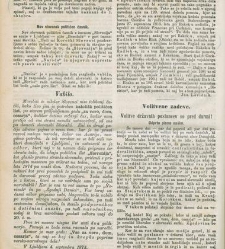 Kmetijske in rokodelske novize(1873) document 517994