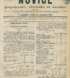 Kmetijske in rokodelske novize(1873) document 517999