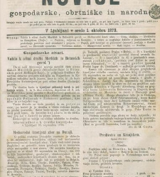 Kmetijske in rokodelske novize(1873) document 518007