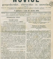 Kmetijske in rokodelske novize(1873) document 518031