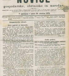 Kmetijske in rokodelske novize(1873) document 518039