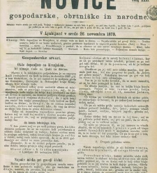 Kmetijske in rokodelske novize(1873) document 518071