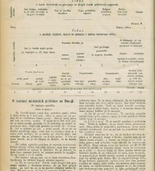 Kmetijske in rokodelske novize(1873) document 518106