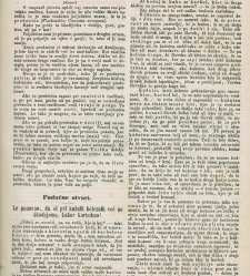 Kmetijske in rokodelske novize(1874) document 518147