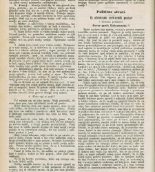 Kmetijske in rokodelske novize(1874) document 518196