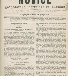 Kmetijske in rokodelske novize(1874) document 518291