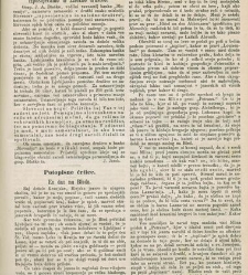 Kmetijske in rokodelske novize(1874) document 518325