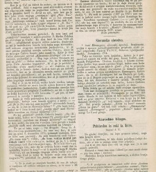 Kmetijske in rokodelske novize(1874) document 518383