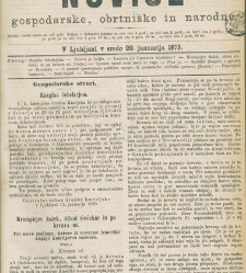 Kmetijske in rokodelske novize(1875) document 518556