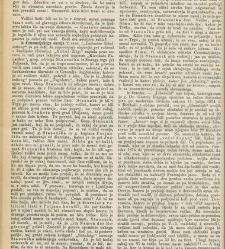 Kmetijske in rokodelske novize(1875) document 518583