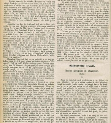 Kmetijske in rokodelske novize(1875) document 518611