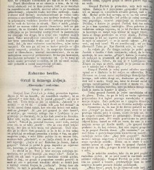 Kmetijske in rokodelske novize(1875) document 518712