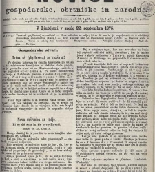 Kmetijske in rokodelske novize(1875) document 518837