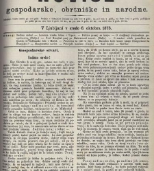 Kmetijske in rokodelske novize(1875) document 518853