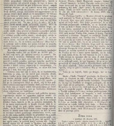 Kmetijske in rokodelske novize(1875) document 518892