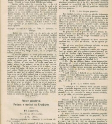 Kmetijske in rokodelske novize(1875) document 518975